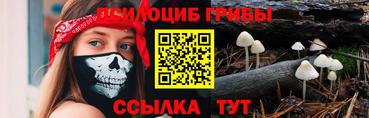 Псилоцибиновые грибы мухоморы Рузаевка